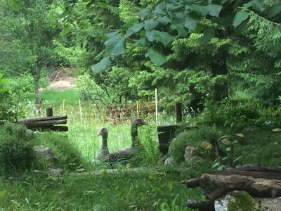 Bild 17 aus  Eselhof Le Certeau