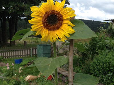 Bild 11 aus  Hof Altasilva - Rosenhof