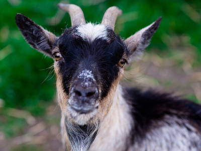 Bild 8 aus  Ferienhof  Schwien