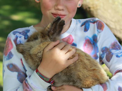 Bild 15 aus  Ferienhof Meetz