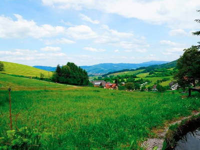 Bild 22 aus  Maierhof