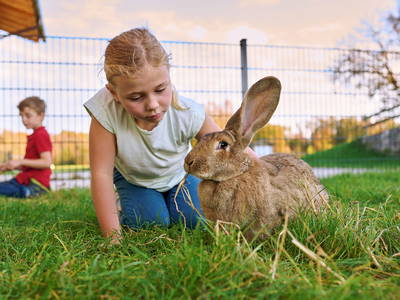 Fellfreunde im Kleintierstall