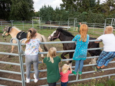 Bild 18 aus  Familienhof Brüning