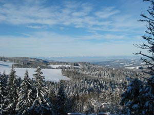 Bild 28 aus  Landhaus Rombach