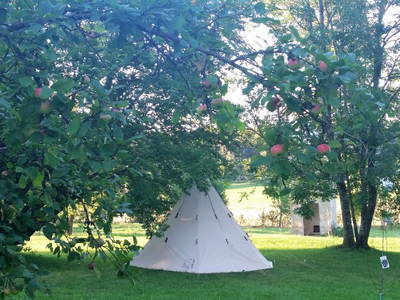 Bild 11 aus  Gut Rechetsberg