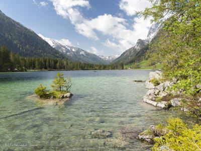 Bild 42 aus  Fuchsbauernhof