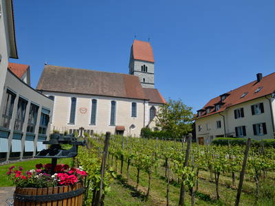 Bild 5 aus  Ferienhof Mecking