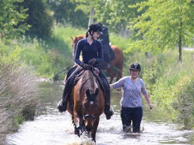 Abkühlung für Ross und Reiter