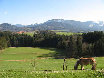 Bild 12 aus  Bauniglerhof