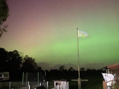 Bild 21 aus  Schwalbenhof