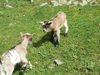 Bild 19 aus  Schillingerhof