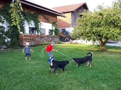 Bild 5 aus  Kainzenhof