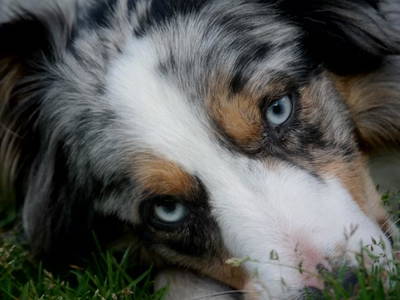 Bild 8 aus  Schmidbauernhof