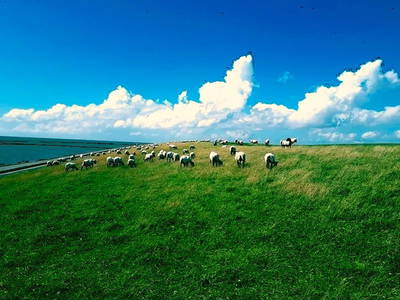 Bild 32 aus  Ferienhof Hasseler