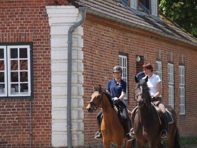 Bild 40 aus  Gut Friederikenhof