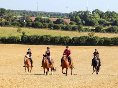 Bild 18 aus  Premium - Ferienhof Lunau