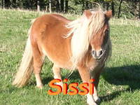 Bild 16 aus  Gasthof zum Grünen Baum