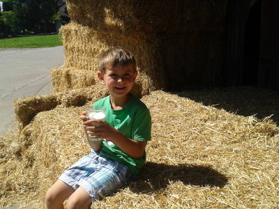 Bild 5 aus  Erholung - Natur pur - Urlaub auf dem Loyerhof