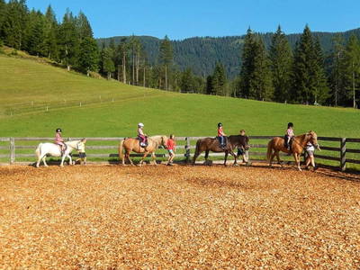 Bild 12 aus  Mittersteghof