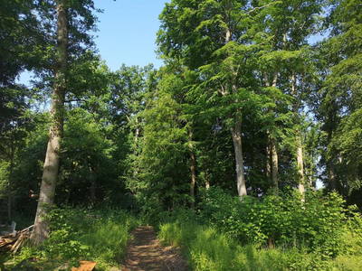 Bild 37 aus  Gästehaus Maria Rast