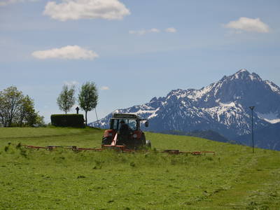 Bild 8 aus  "Salenberghof"