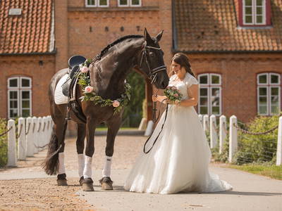 Bild 29 aus  Gut Petersdorf