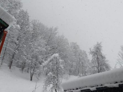 Bild 27 aus  Leuhaus