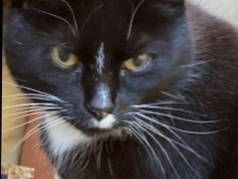 Bild 5 aus  Rittergut Bielatal