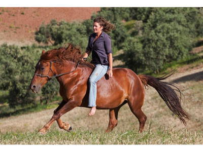 Bild 10 aus  Cortijo Los Lobos