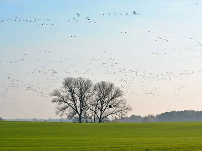 Bild 10 aus  Pieverstorf 2