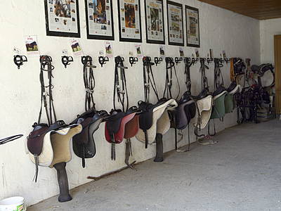 Bild 13 aus  Ferienhof Jehle