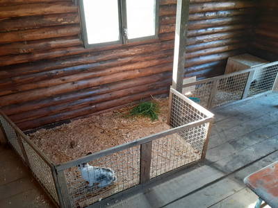 Bild 63 aus  Woferlhof