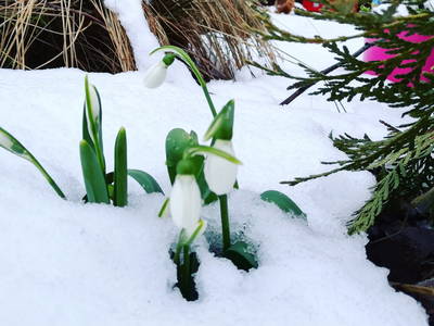 Bild 41 aus  Marienhof