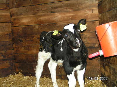 Bild 13 aus  Ferienbauernhof Eickhoff