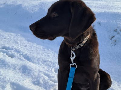 Bild 9 aus  Ferienhof Richter