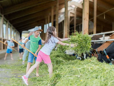 Bild 35 aus  Schädlerhof