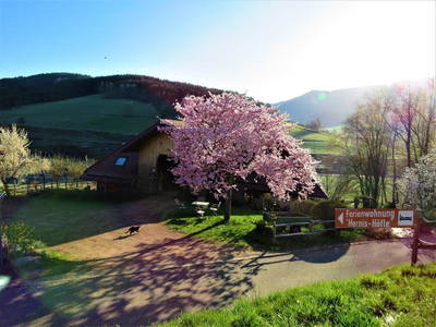 Bild 7 aus  „Hernis-Höfle“ Wohlfühlambiente im Elztal  5⭐️Sterneferien.