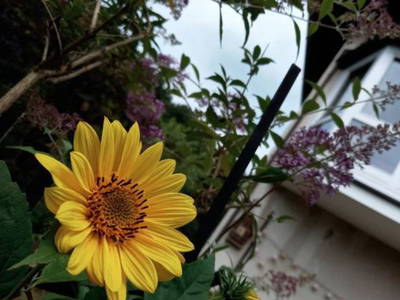 Bild 22 aus  Ferienwohnung Flender