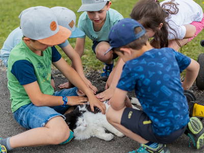 Bild 22 aus  Schädlerhof