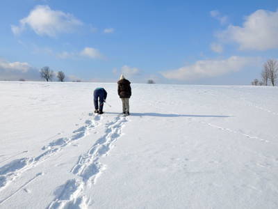 Bild 20 aus  Mühlenhof Seyde