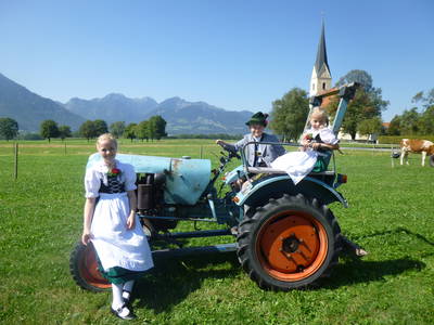 Bild 37 aus  Zacherlhof