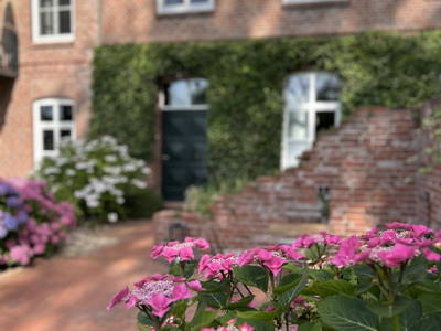 Bild 28 aus  Der Wilhelminenhof