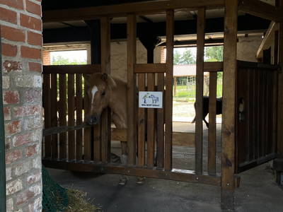 Bild 39 aus  LandSelection Rüsterhof