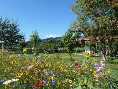 Bild 10 aus  AlpenFerienLandhaus Müller
