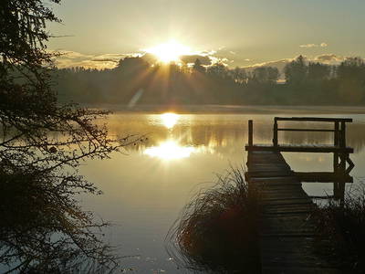 Bild 18 aus  Stroblhof