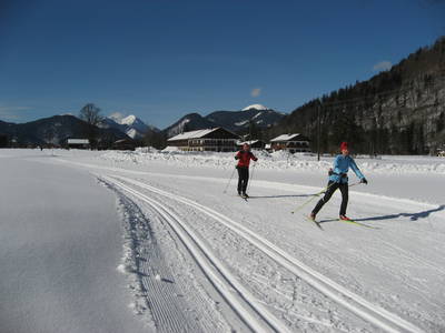 Bild 9 aus  Lettnerhof