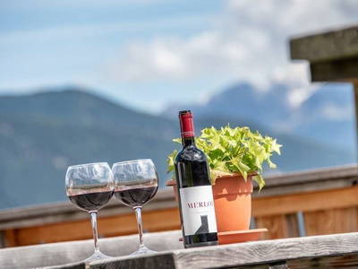 Bild 11 aus  Pirchnerhof