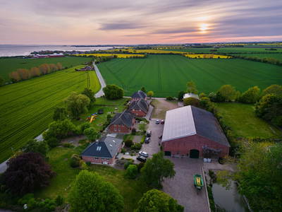 Bild 21 aus  Familienparadies auf Fehmarn - Bauernhofurlaub mit Tieren, viel Platz zum Spielen & Ostseenähe