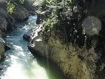 Bild 21 aus  Meisterhof