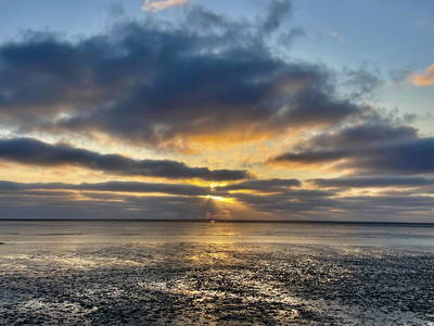 Bild 16 aus  Drei Tage am Meer